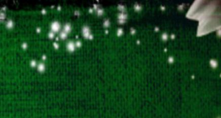 ChristmasBackground